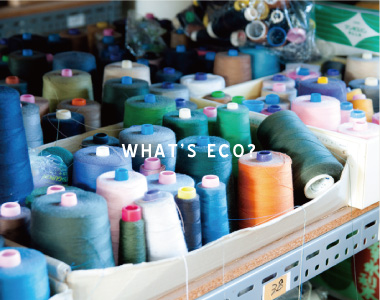 WHAT´S ECO